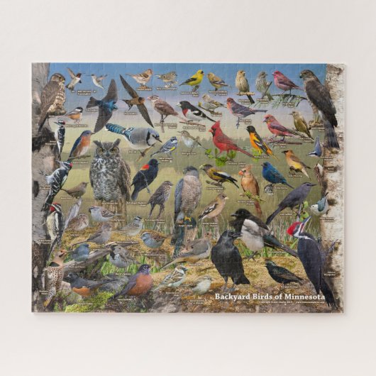 Achtertuin vogels van Minnesota Legpuzzel (Horizontaal)