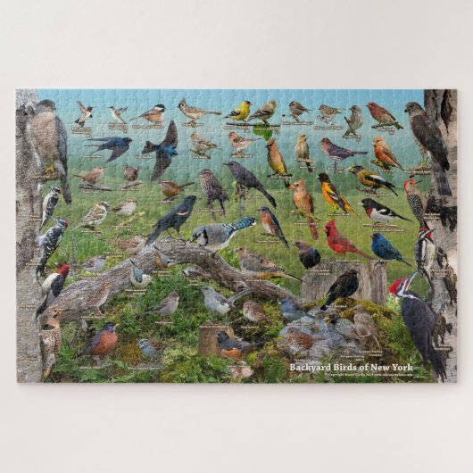 Achtertuin vogels van New York Legpuzzel (Horizontaal)