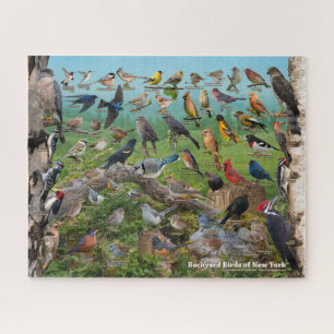 Achtertuin vogels van New York Legpuzzel