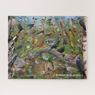 Achtertuin vogels van Ohio Puzzle Legpuzzel