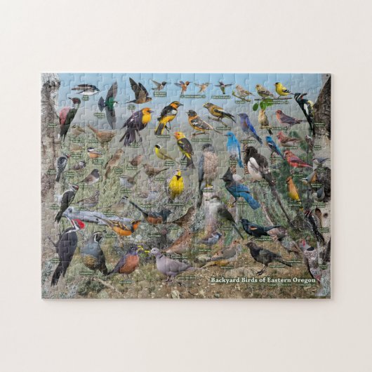 Achtertuin vogels van Oost-Oregon Legpuzzel (Horizontaal)