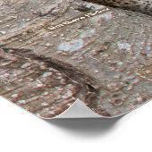 Achtertuin vogels van Pennsylvania Custom SIze Poster (Hoek)