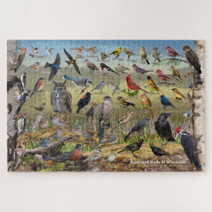 Achtertuin vogels van Wisconsin Legpuzzel