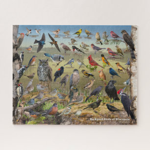 Achtertuin vogels van Wisconsin Legpuzzel