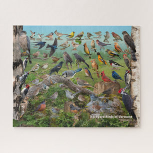Achtertuin vogels Vermont Legpuzzel