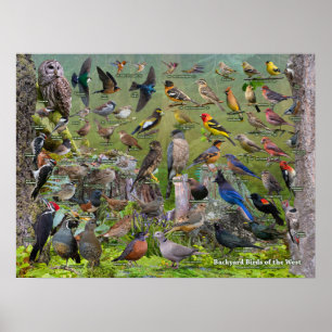 Achtertuin vogels West Poster 2021 Edition