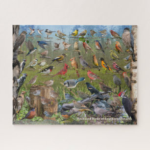 Achtertuin vogels Zuid-Ontario Legpuzzel