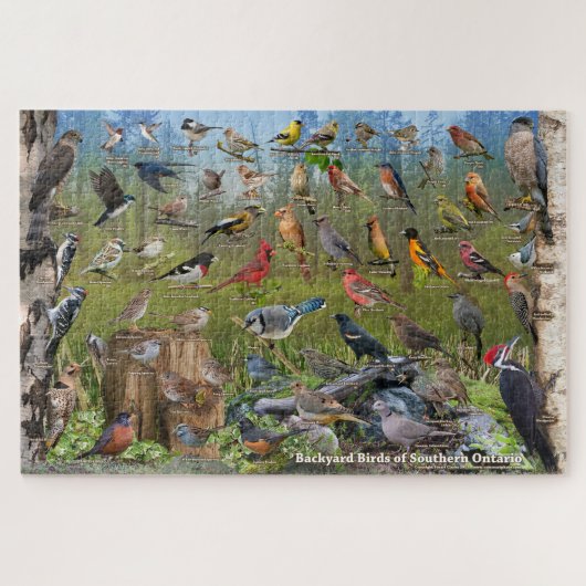 Achtertuin vogels Zuid-Ontario Legpuzzel (Horizontaal)