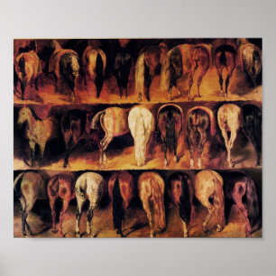 achtervoeten van paarden, bruin poster