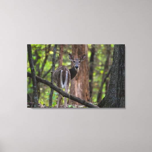 Achterwaarts kijken canvas afdruk (Voorkant)