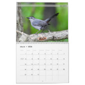 Achterwerende kalender voor vogels 5e reeks (Mar 2026)
