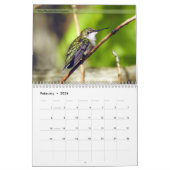 Achterwerende kalender voor vogels 5e reeks (Feb 2026)