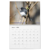 Achterwerende vogelkalender 2e reeks kalender (Mar 2026)
