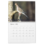 Achterwerende vogelkalender 2e reeks kalender (Feb 2026)