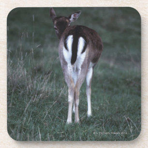 Achterzijde uitzicht van een hert, Nieuw-Zeeland Bier Onderzetter