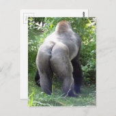 Achterzijde van Gorilla Briefkaart (Voorkant / Achterkant)