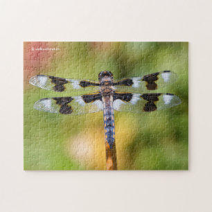 Achtgepootte Skimmer Dragonfly Legpuzzel