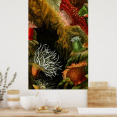 Achtste van de tien onderwaterlevens poster (Keuken)