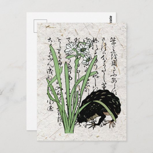 Achttiende eeuw Japanse Botanische Kikker Toad Briefkaart (Voorkant / Achterkant)
