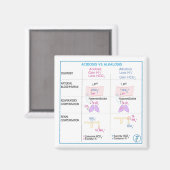 Acidose vs Alkalosis Magnet (non flexible) (Recto/Verso)