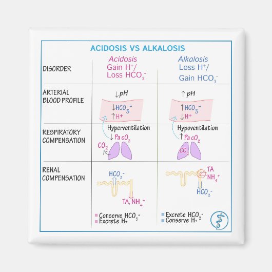 Acidose vs Alkalosis Magnet (non flexible) (Devant)