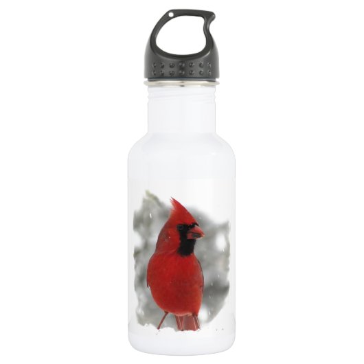 Acier Inoxydable Cardinal en Neige Bouteille d'eau 18oz (Devant)