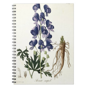 Aconitum Napellus uit 'Phytographie Medicale' door Notitieboek