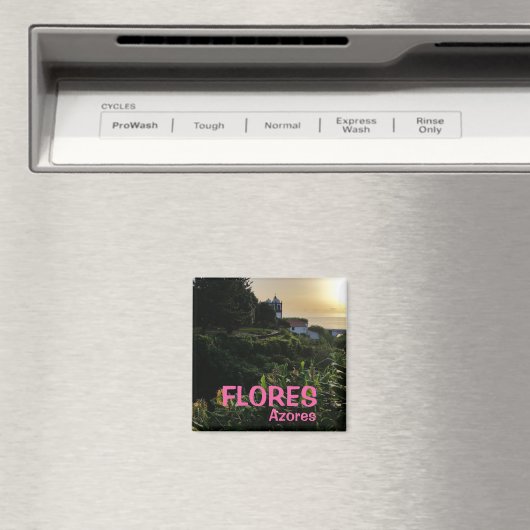 Açores : Flores Magnet de cuisine panoramique (In Situ (Lave-vaisselle))
