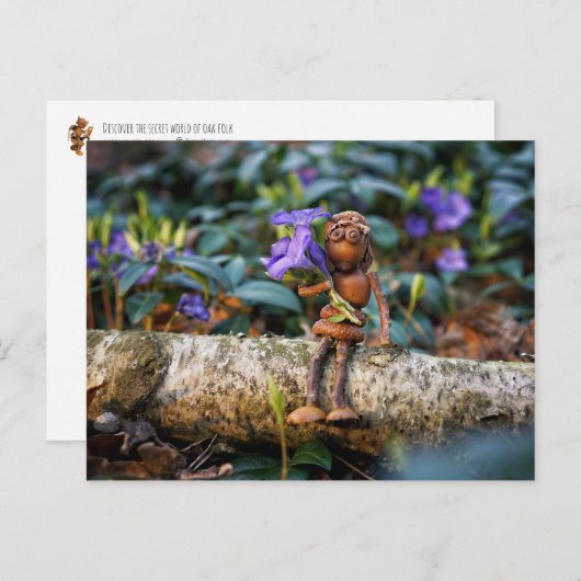 Acorn elf fille avec des fleurs carte postale (Devant / Derrière)