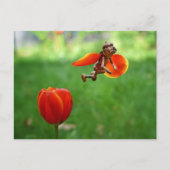 Acorn elf fille comme tulip fée printemps carte po (Devant)