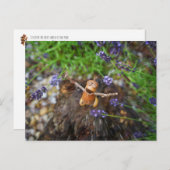 Acorn elf in de regen briefkaart