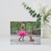 Acorn elf in een roze jurk met een briefkaart van (Staand voorkant)