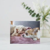 Acorn elf leest sprookje voor aan hond en kat briefkaart (Staand voorkant)