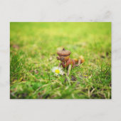 Acorn elf met briefkaart van melkveer (Voorkant)