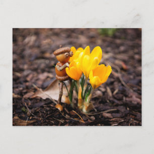 Acorn elf met gele kroonbloem briefkaart
