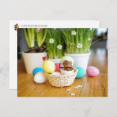 Acorn elf met paaseieren Pasen Briefkaart (Voorkant / Achterkant)