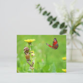 Acorn elf op andelion met vlinder op weide briefkaart (Staand voorkant)