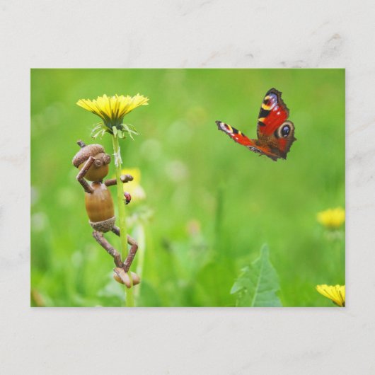 Acorn elf op andelion met vlinder op weide briefkaart (Voorkant)