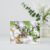 Acorn elf op de bloesem briefkaart (Staand voorkant)