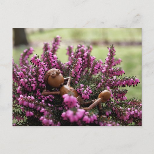 Acorn elf op het briefkaart van de heide tuin (Voorkant)