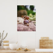 Acorn elf op het slakkenposter poster (Keuken)