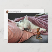 Acorn elf plagen kat briefkaart (Voorkant / Achterkant)