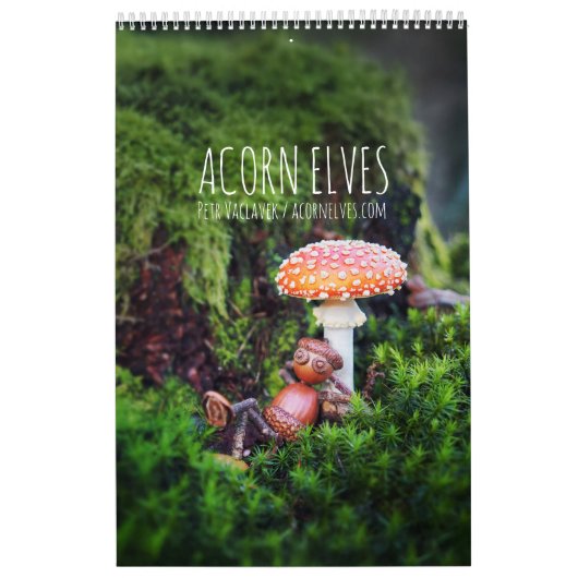 Acorn Elves / Dubanci-fotokalender Kalender (Hoes)