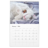 Acorn Elves / Dubanci-fotokalender Kalender (Feb 2026)