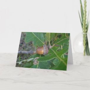 Acorn Kaart