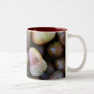 Acorn Mok