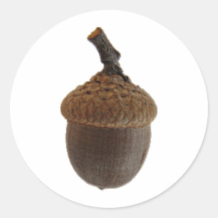 Acorn noten Snack eten Keuken Recepten Ronde Sticker
