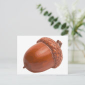 acorn.png briefkaart (Staand voorkant)
