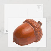 acorn.png briefkaart (Voorkant / Achterkant)