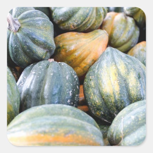 Acorn Squash Vierkante Sticker (Voorkant)